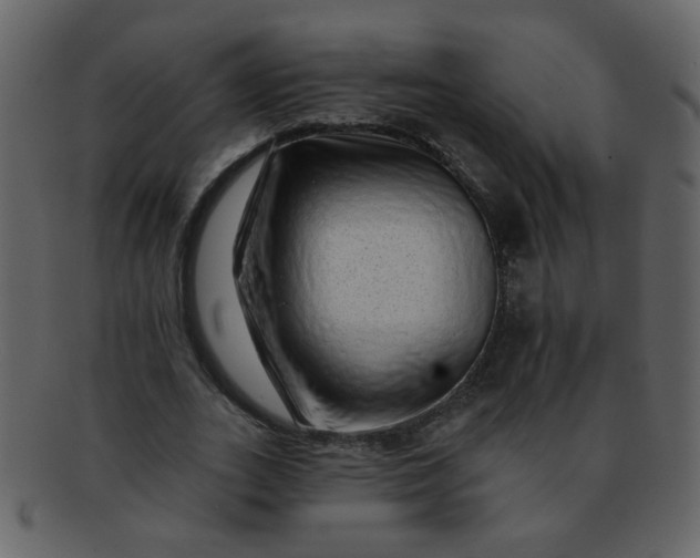 X0000093140727200710171328