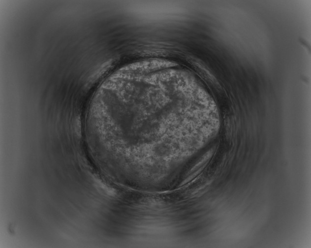 X0000093140729200710171328