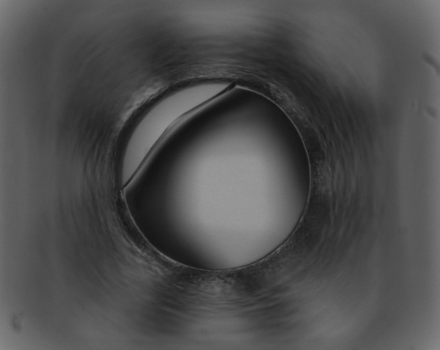 X0000093140731200710171328