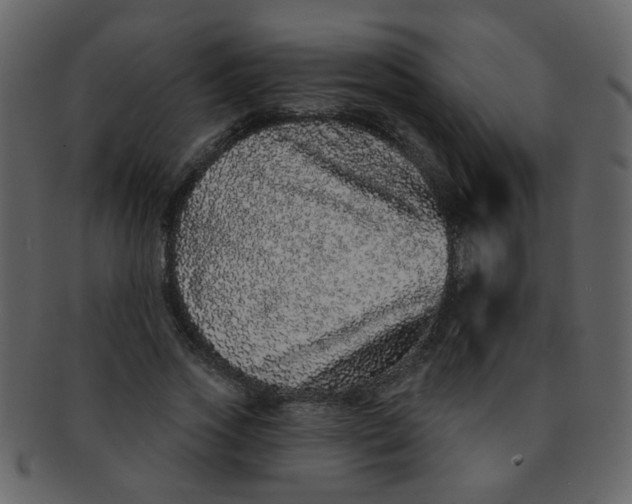 X0000093140733200710171328