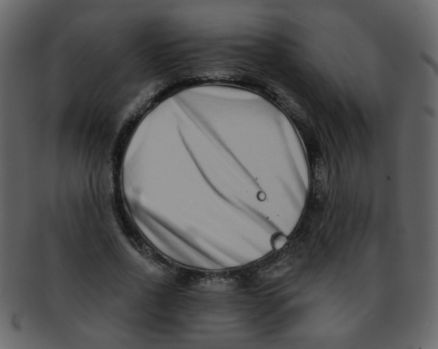 X0000093140734200710171328