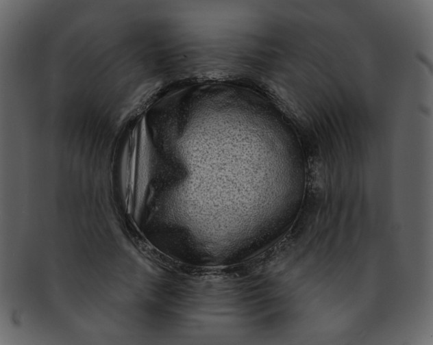 X0000093140738200710171328