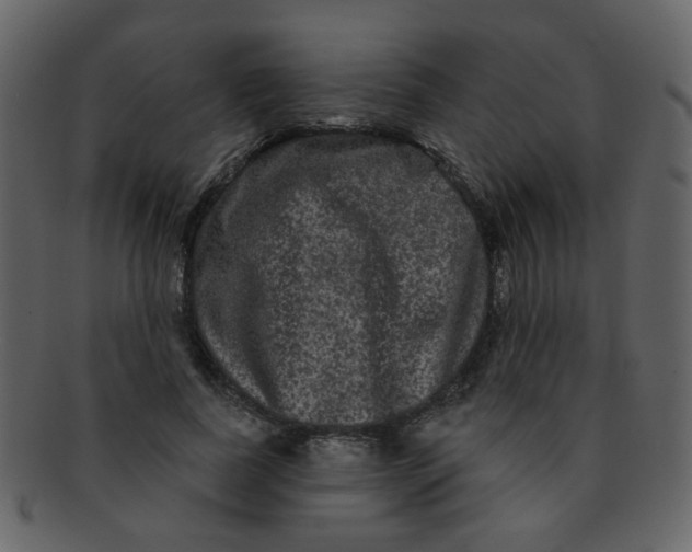 X0000093140739200710171328