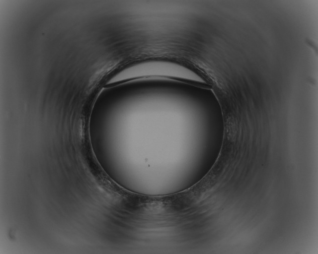 X0000093140740200710171328