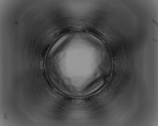 X0000093140745200710171328