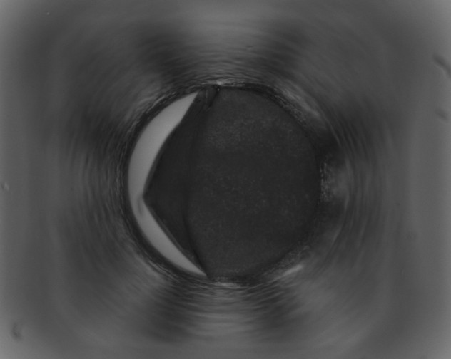 X0000093140748200710171328