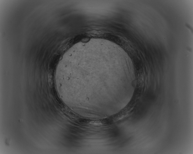 X0000093140749200710171328