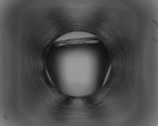 X0000093140751200710171328