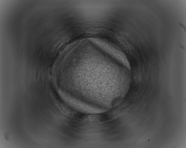 X0000093140758200710171329