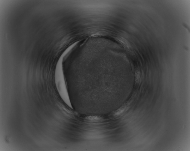 X0000093140766200710171329