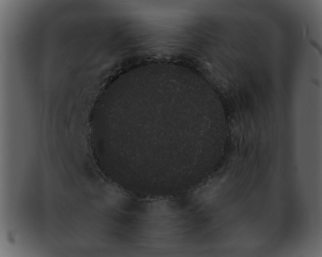 X0000093140769200710171328