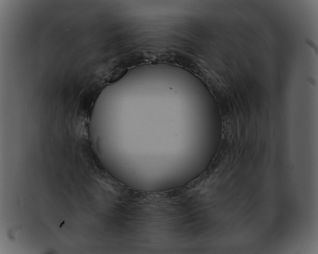 X0000093140770200710171328