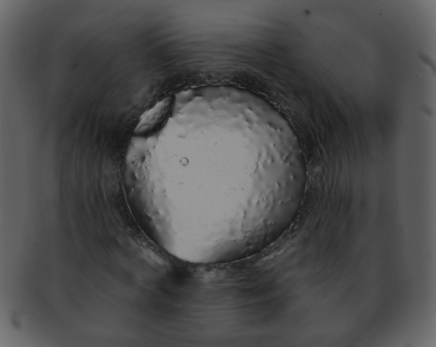 X0000093140772200710171328