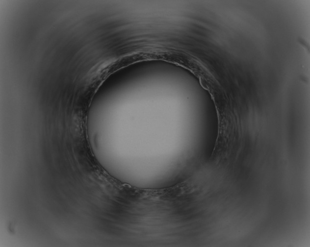 X0000093140773200710171328