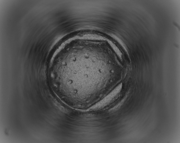 X0000093140783200710171328