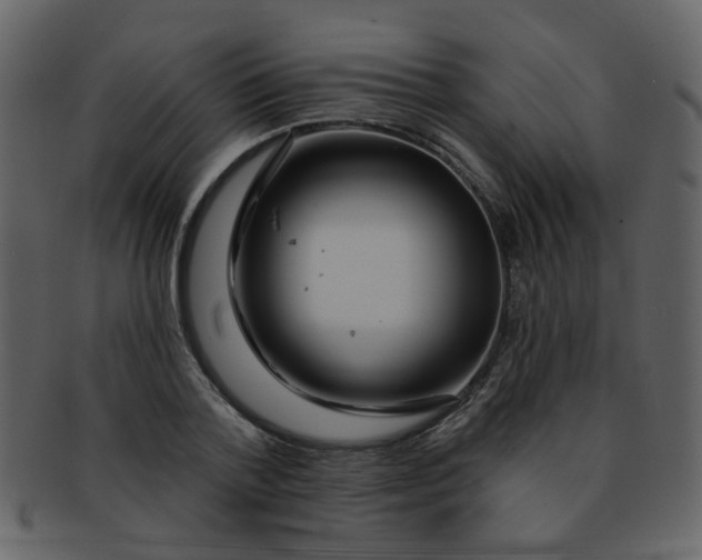 X0000093140788200710171328