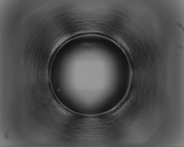 X0000093140789200710171328