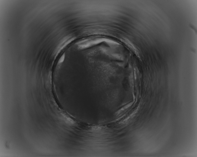 X0000093140790200710171328