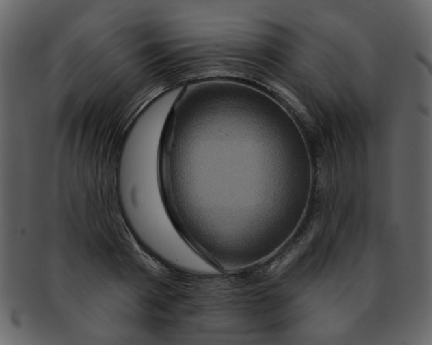 X0000093140793200710171328