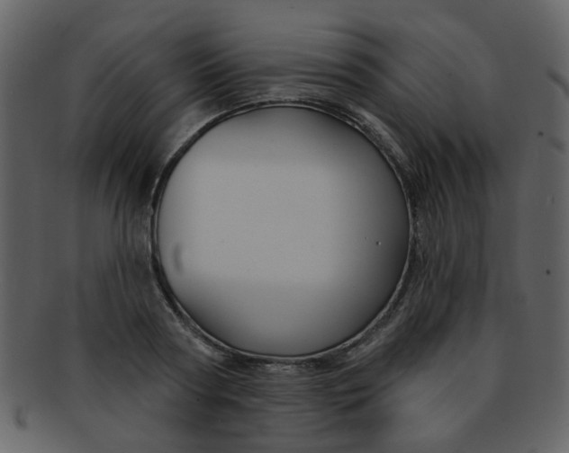 X0000093140794200710171328