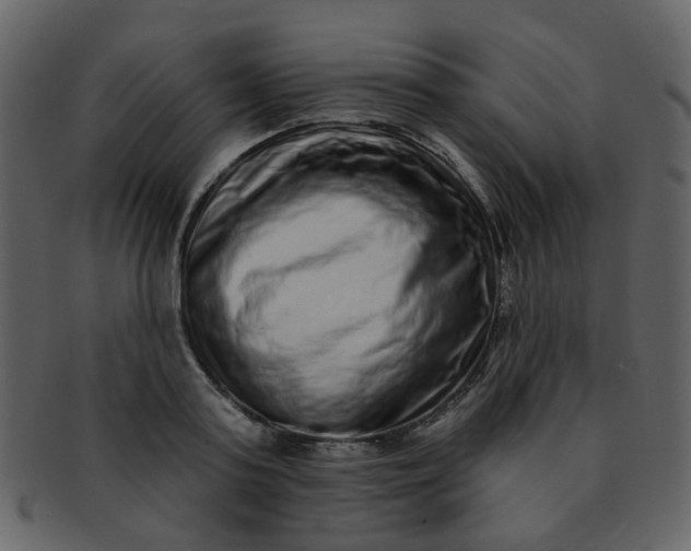 X0000093140795200710171328