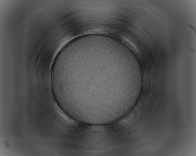 X0000093140800200710171328