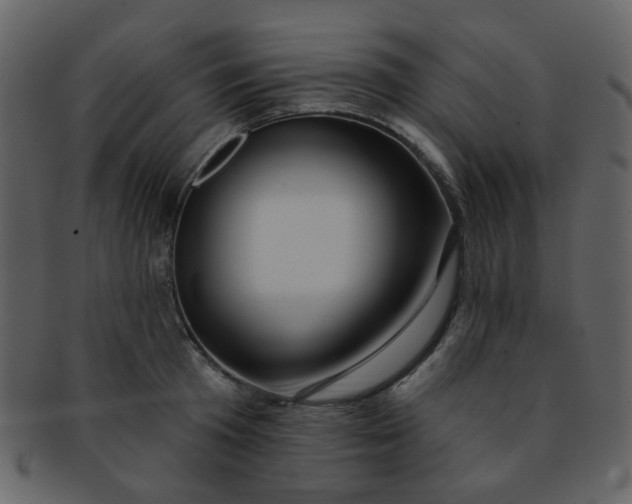 X0000093140801200710171328