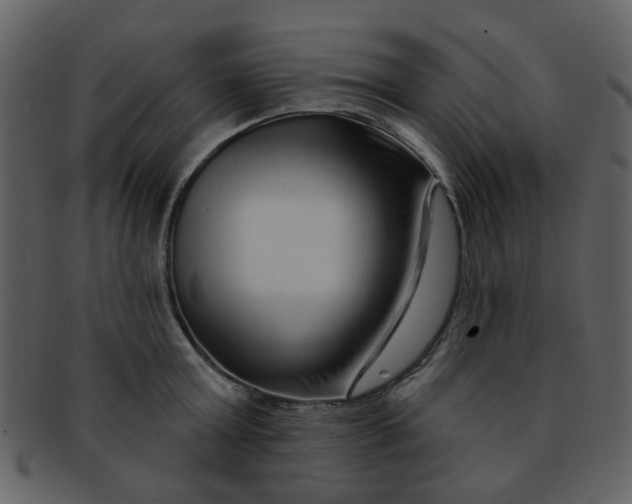 X0000093140803200710171328