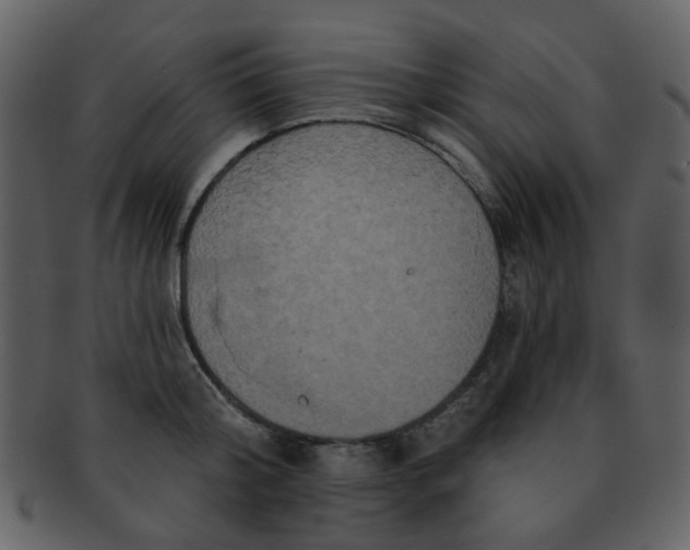 X0000093140804200710171328