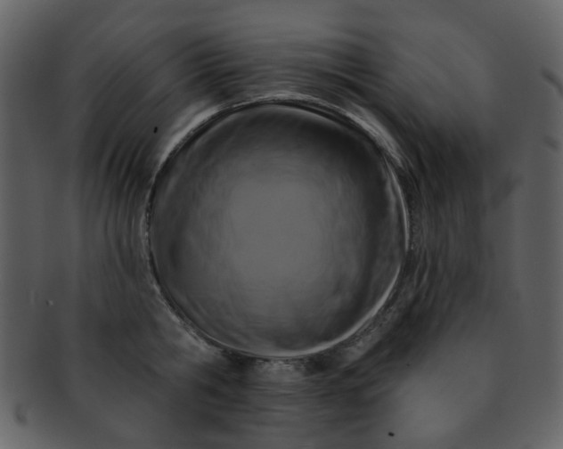 X0000093140806200710171328