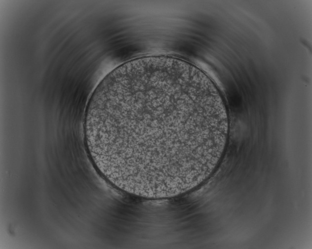 X0000093140810200710171328