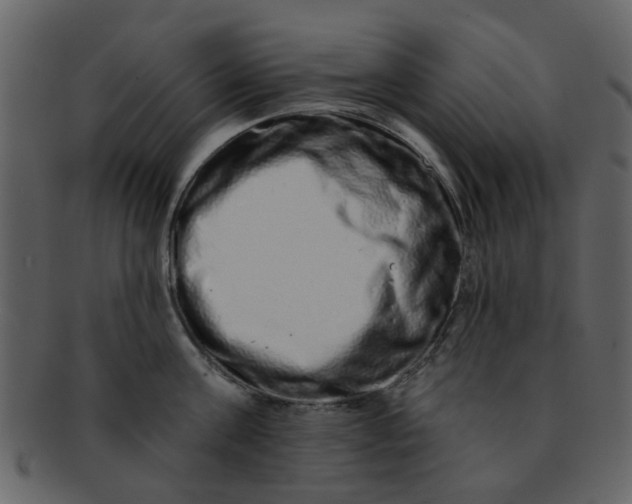 X0000093140811200710171328