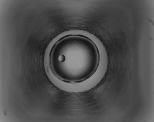 X0000093140818200710171327