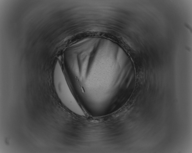 X0000093140821200710171327