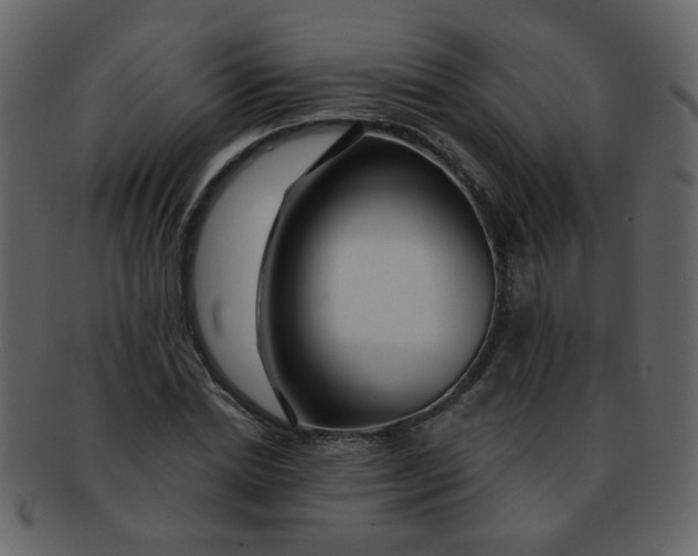 X0000093140830200710171327