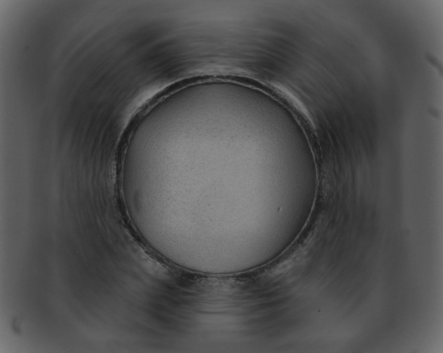 X0000093140831200710171327