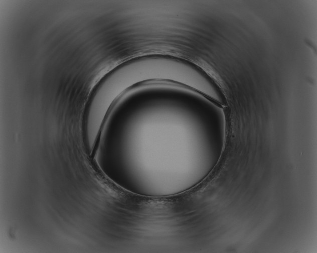 X0000093140834200710171327