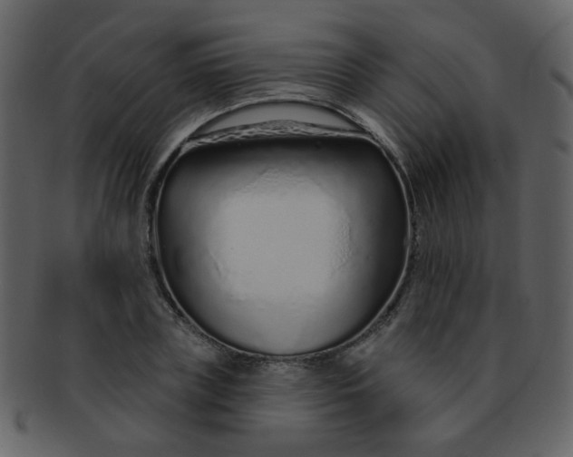 X0000093140835200710171327