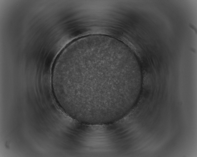 X0000093140836200710171327