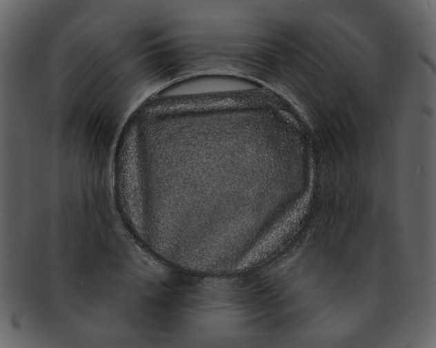 X0000093140840200710171327