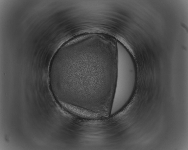 X0000093140845200710171327