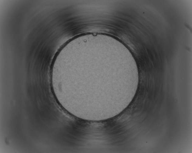 X0000093140848200710171327