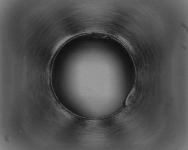 X0000093140854200710171327