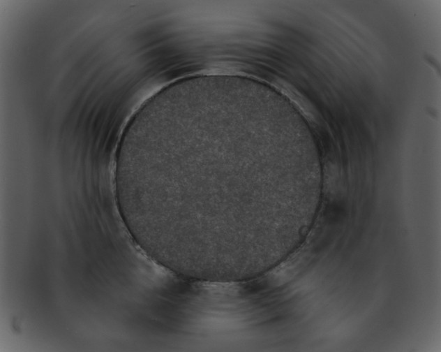 X0000093140856200710171327