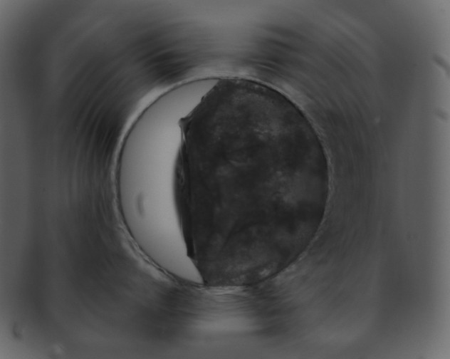 X0000093140864200710171327