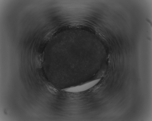 X0000093140868200710171327