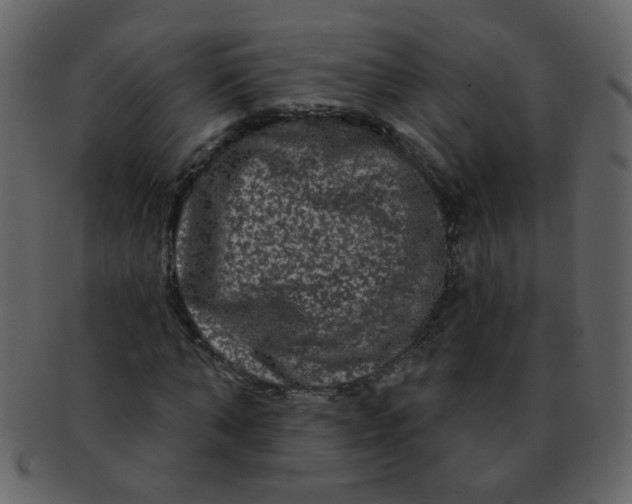 X0000093140870200710171327