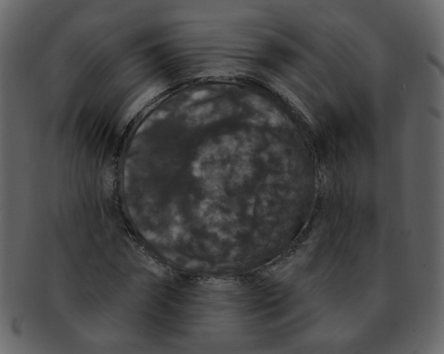 X0000093140874200710171327