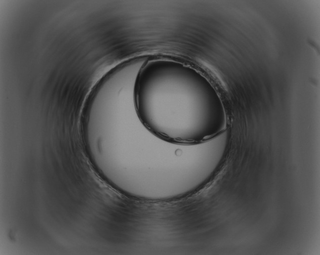 X0000093140876200710171327