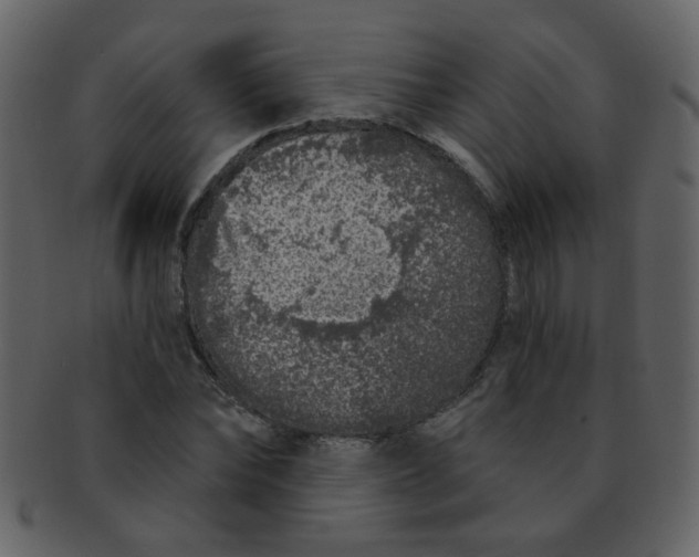 X0000093140878200710171327